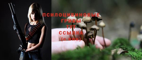 ECSTASY Алексеевка