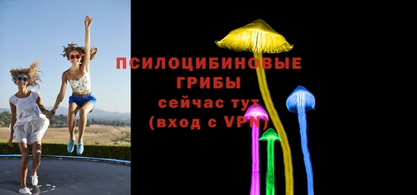 ECSTASY Алексеевка