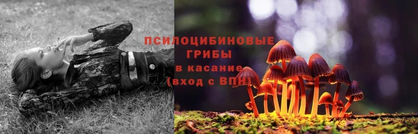 ECSTASY Алексеевка